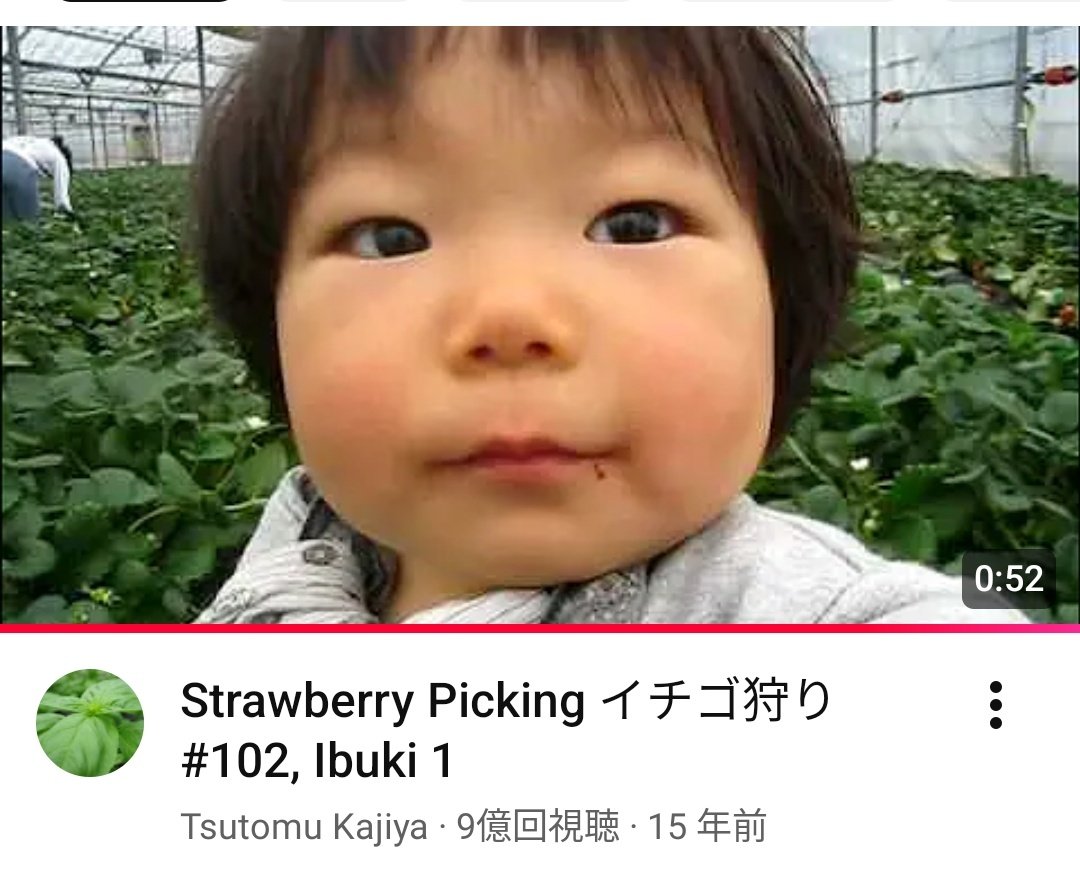 栗松もどき tweet media