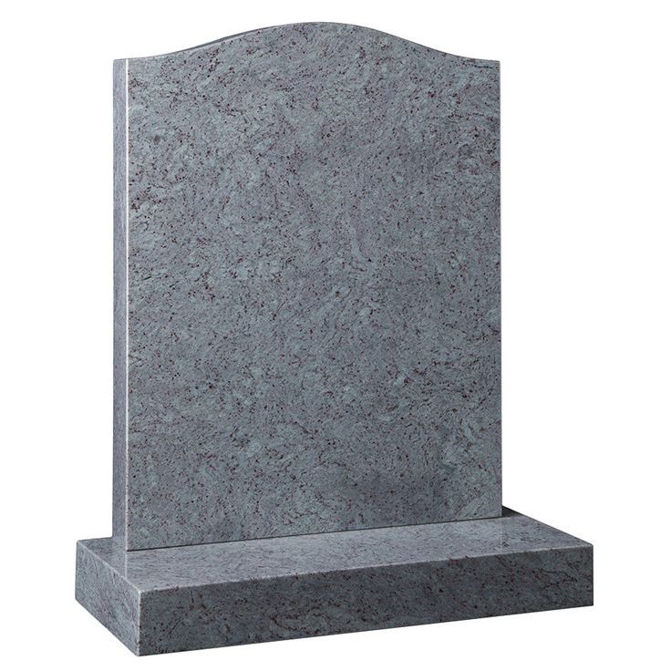 eli ⋆˚𝜗𝜚˚⋆ cassmira ceo ☆ tweet media