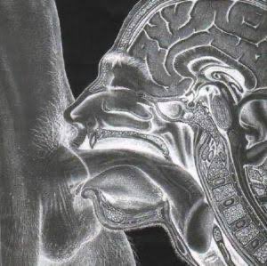 Jeff Andonuts tweet media