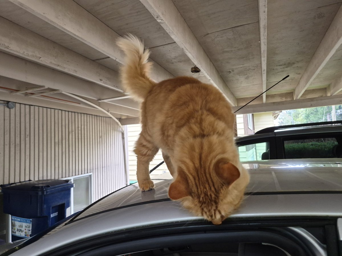 Reckno 🌙🌸 💜🍡 tweet media