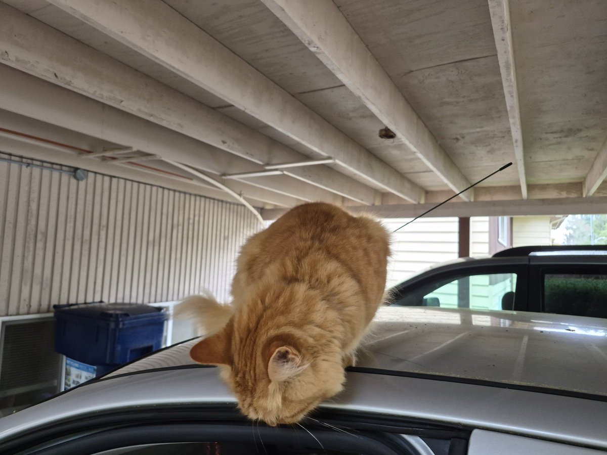 Reckno 🌙🌸 💜🍡 tweet media