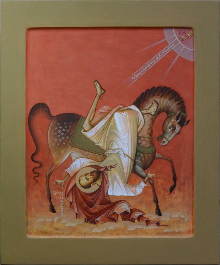 THE ORTHOCHAT tweet media