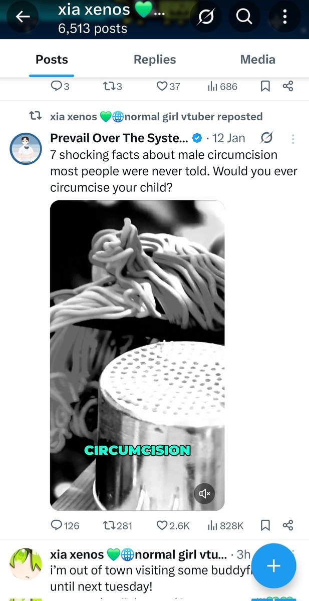 Sorrel Souffle 🚢⛵ tweet media