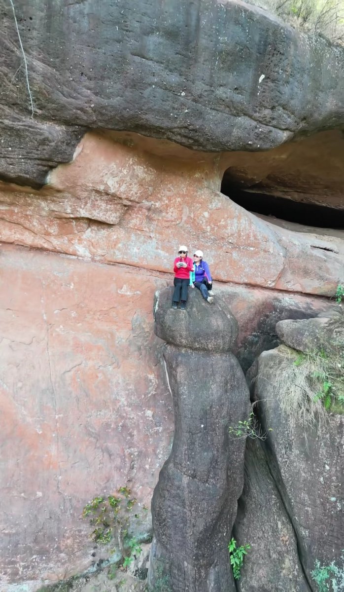 🇨🇳 大牛🇨🇳 tweet media