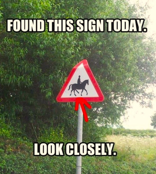 AmericaReal tweet media