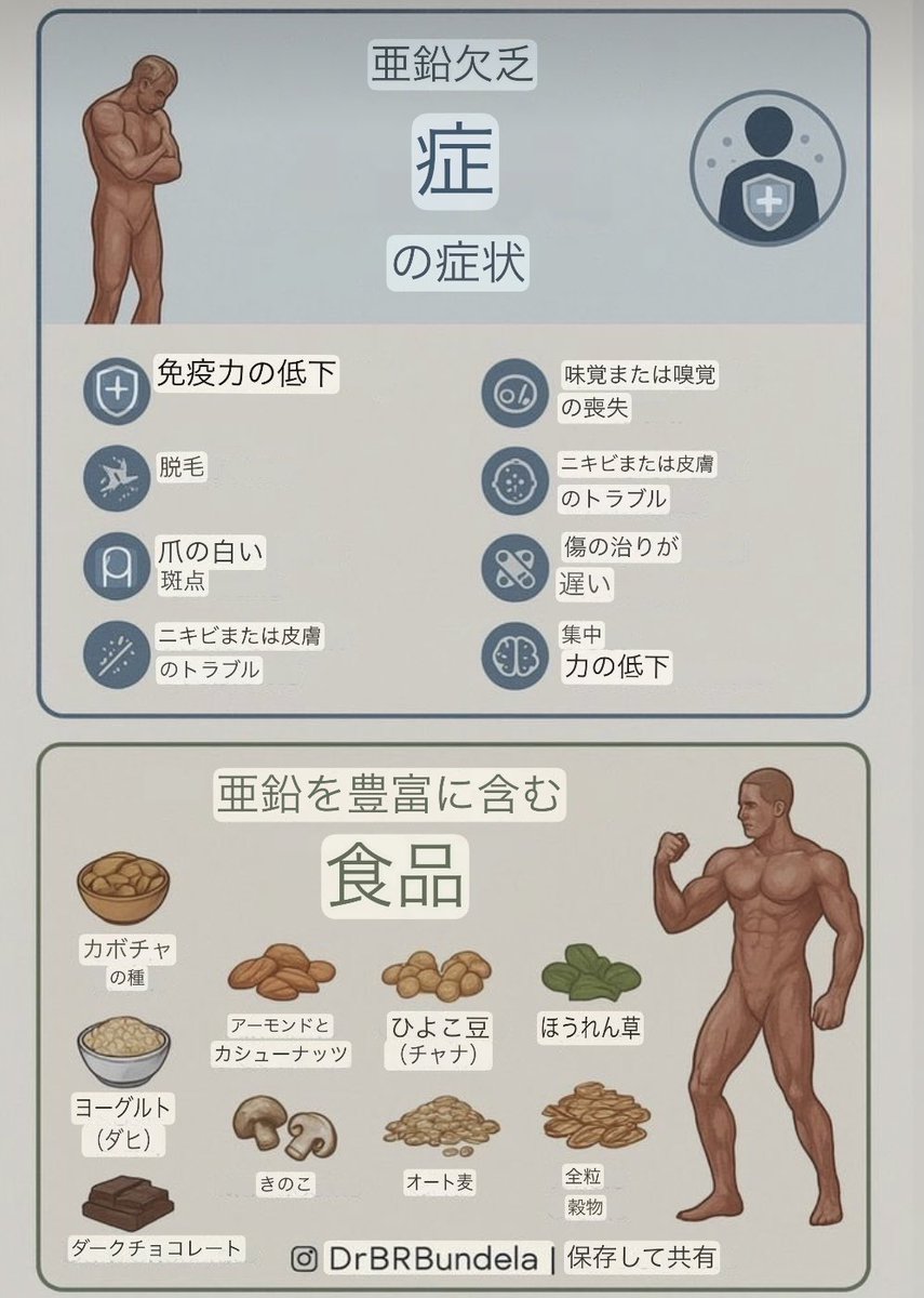 macaron macaron tweet media