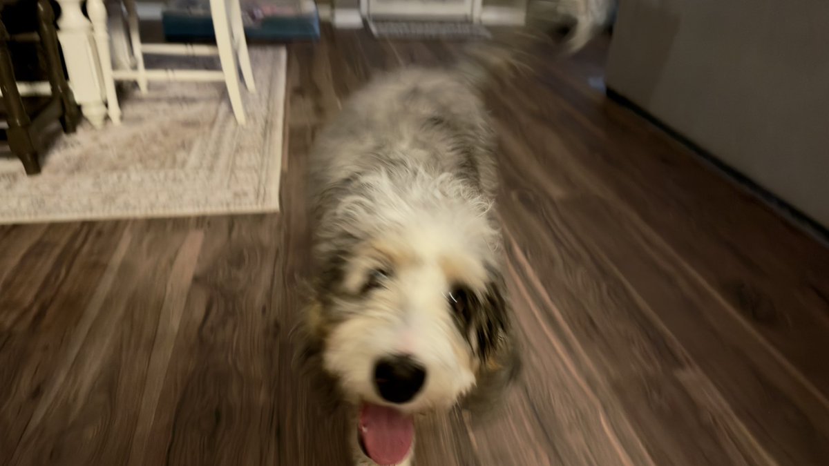 Luke Powell tweet media