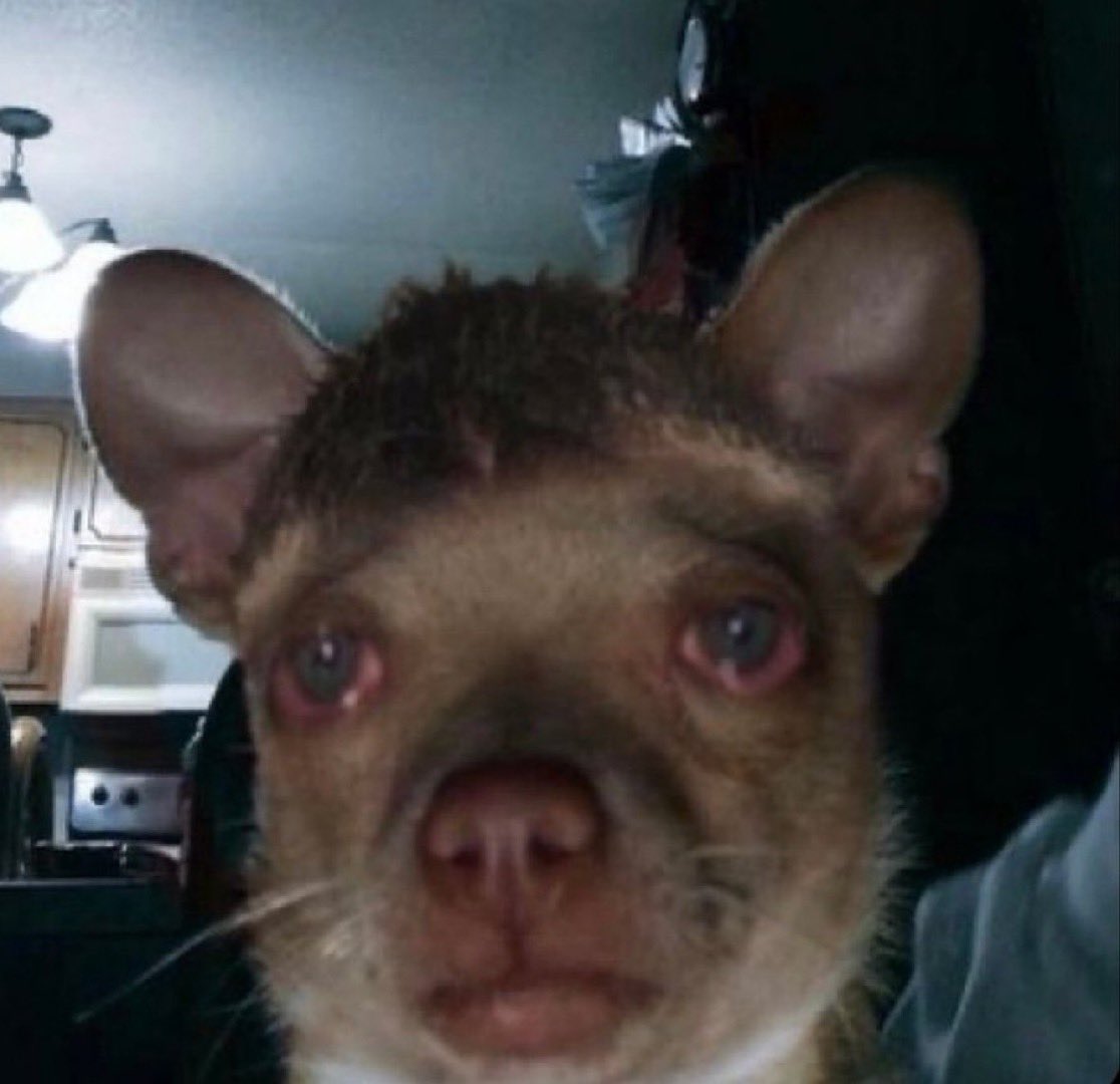 SAMMY FOREIGN🖤😾🖤 tweet media