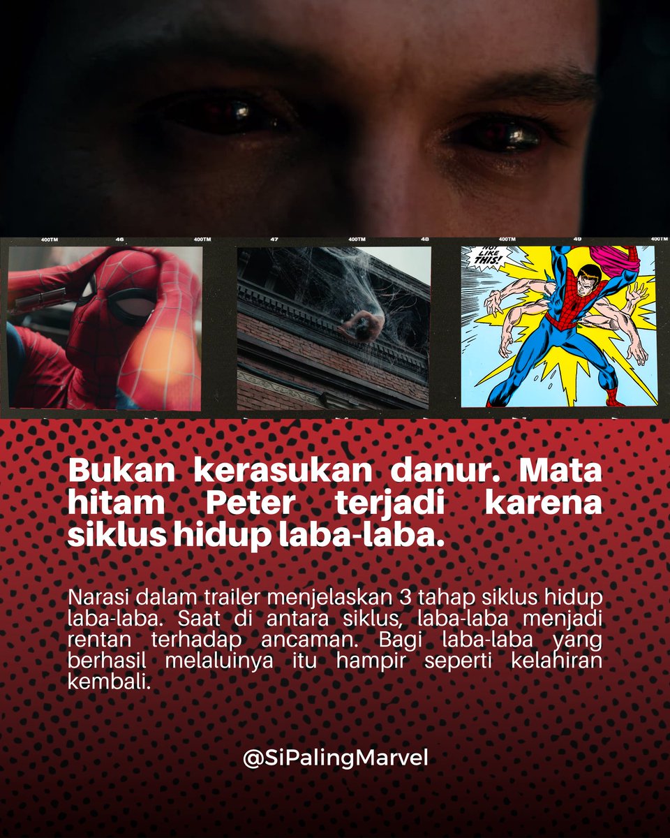 #SiPalingMarvel tweet media