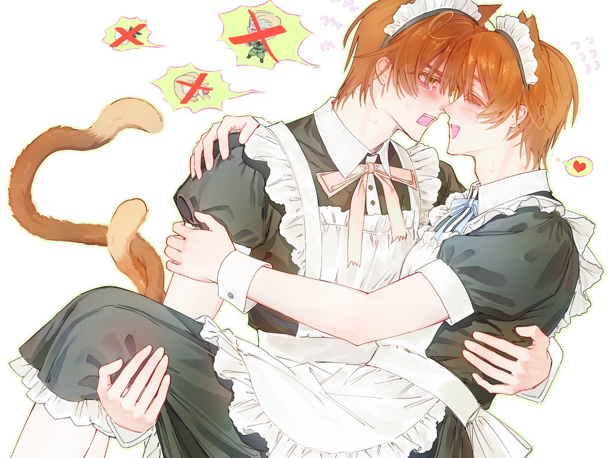 Spinne mit rotem Rücken tweet media