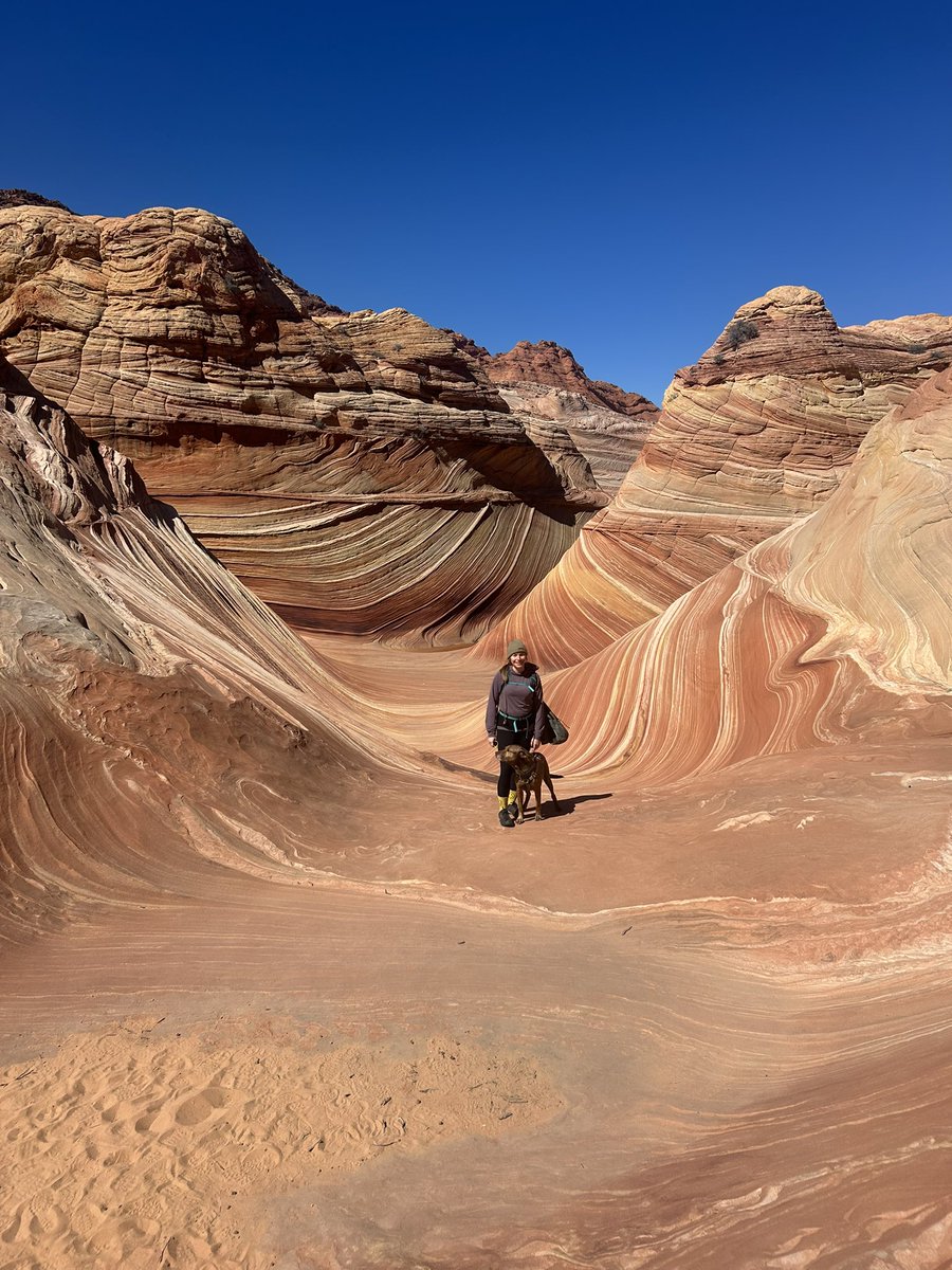 jackLNDN tweet media