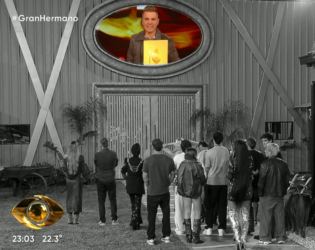 Geminy 🐗 tweet media