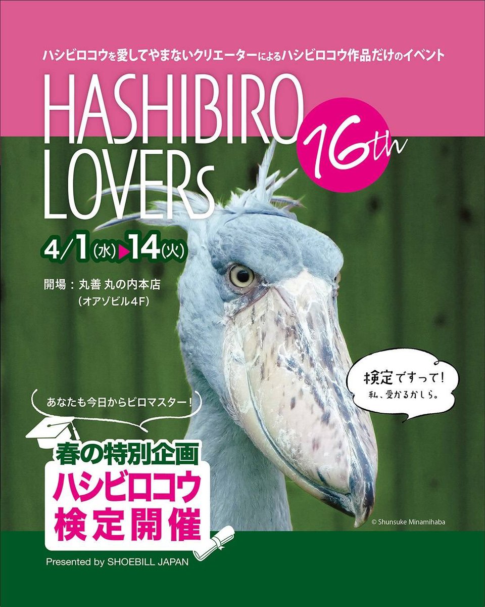 新品★MEGA-G × HASHIBIRO★ハシビロ HASHIBIRO / ハシビロ