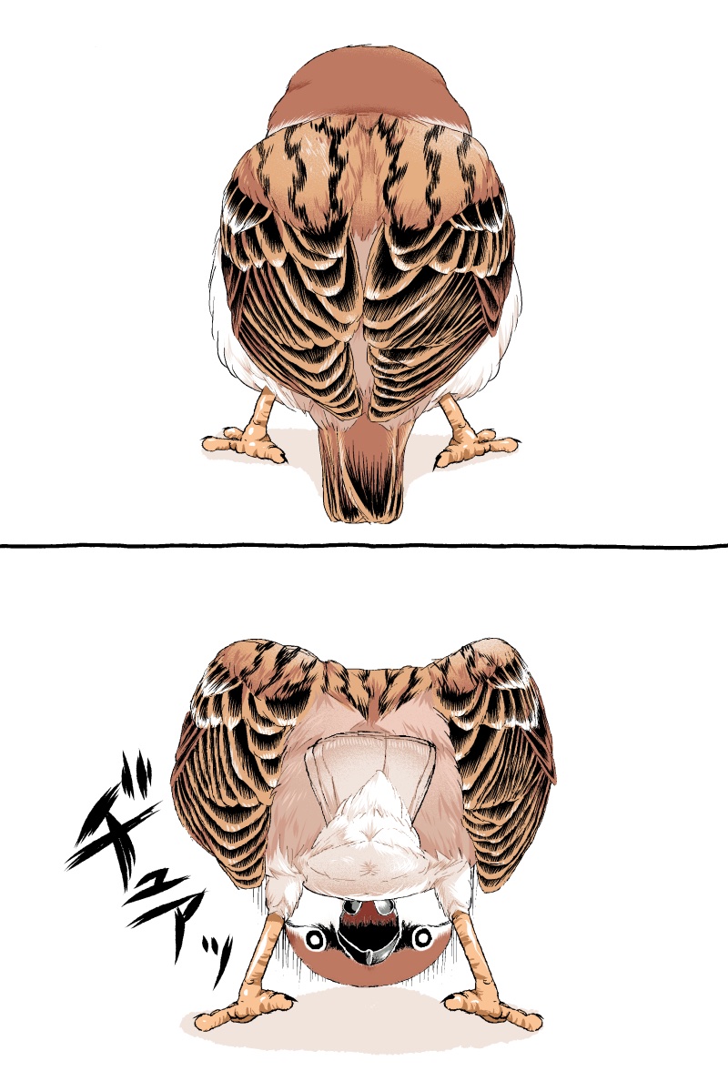 初丸うげべそ🕊『キジバトくん日記②』10/20発売 tweet media