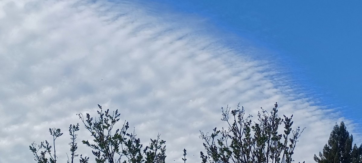 Tara Lynn 4444 tweet media