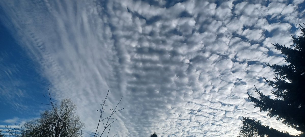 Tara Lynn 4444 tweet media