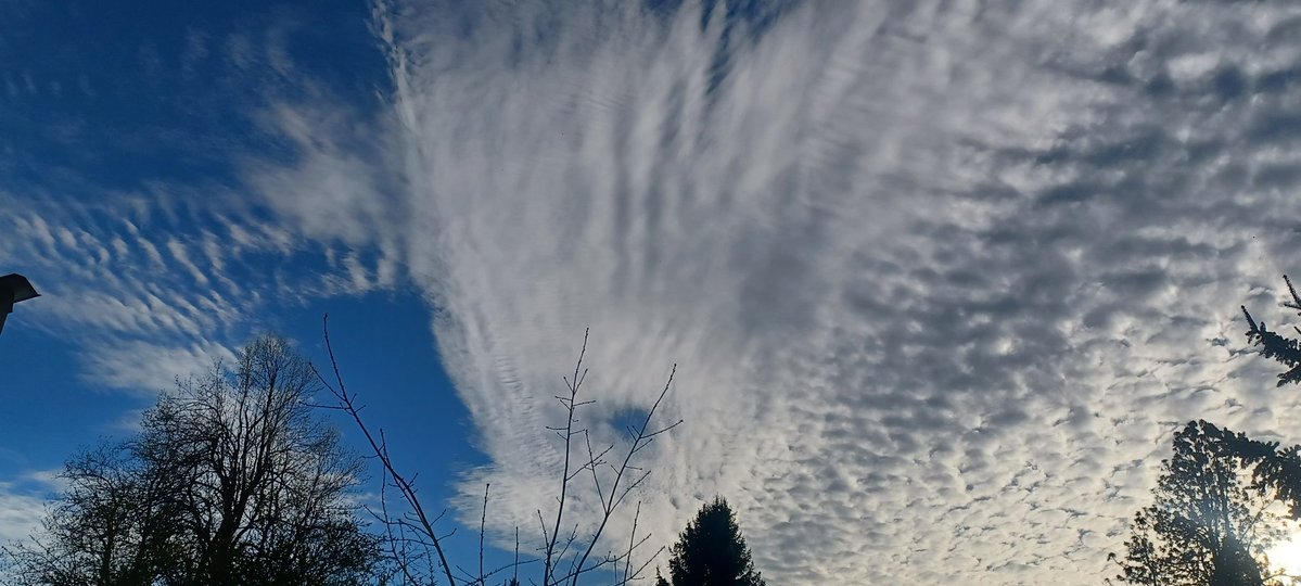 Tara Lynn 4444 tweet media