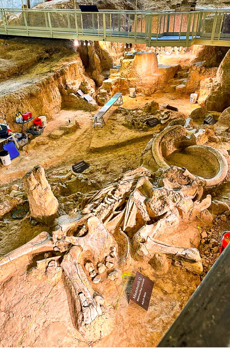 Stephen Orr tweet media