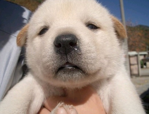 얌욤🍔 tweet media