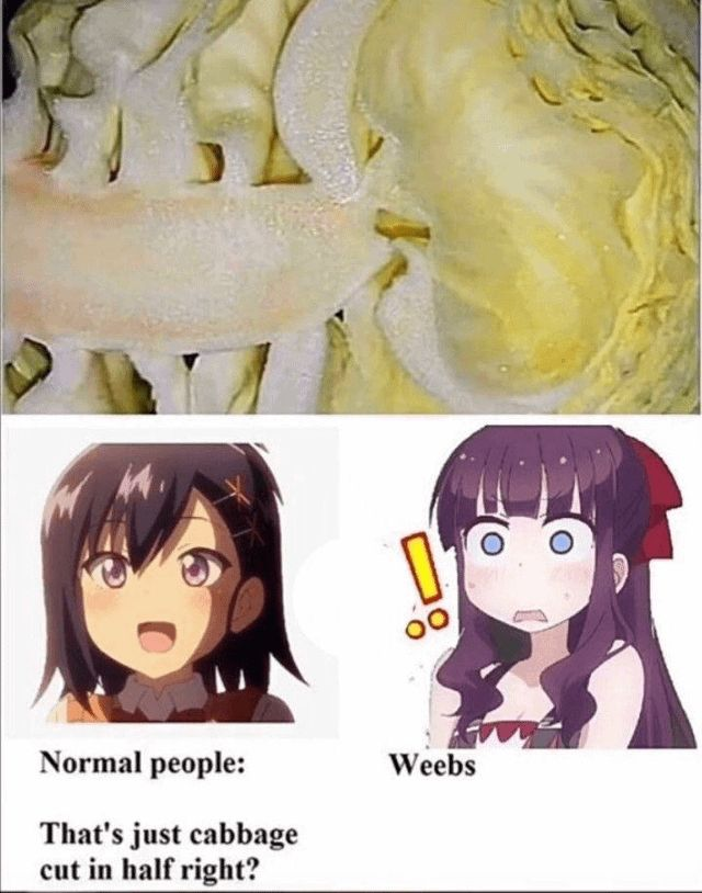 Espiritu tweet media