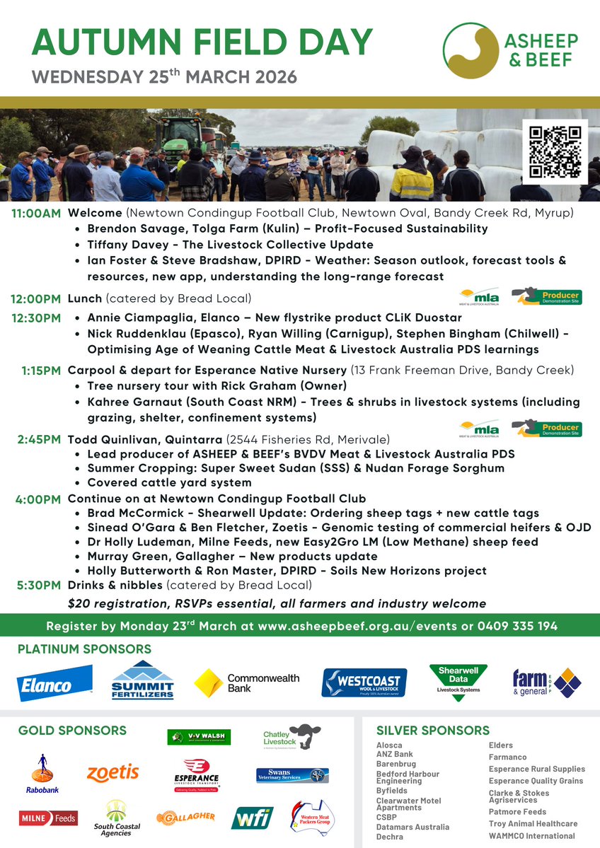 ASHEEP & BEEF tweet media