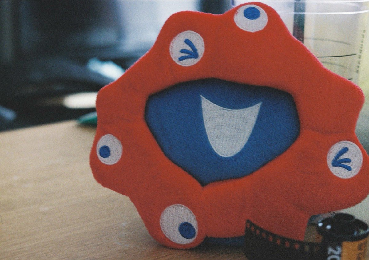 kokekokko2120's tweet photo. 最っ高にcute🫶
#フィルムカメラ #film #filmphotography #PENTAX #pentaxme https://t.co/3FXfdwGHCT
