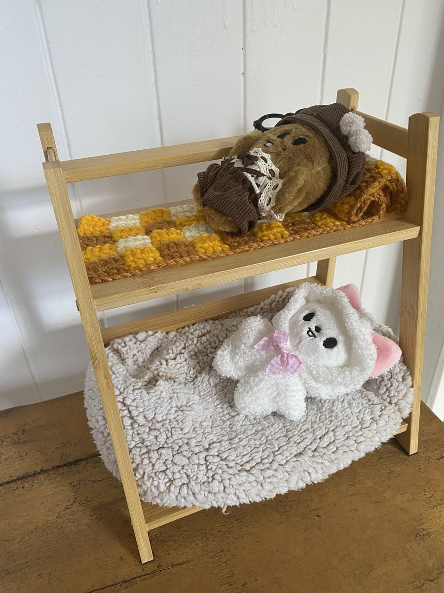 fox ●ᴥ● tweet media