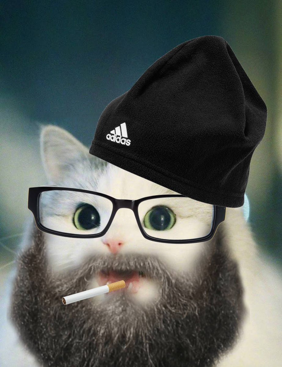 The Cat Who Says the Word tweet media