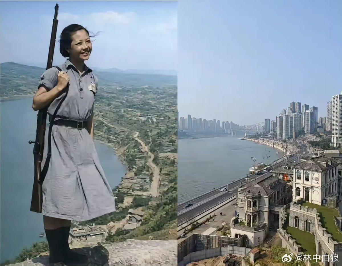 茶先生 tweet media