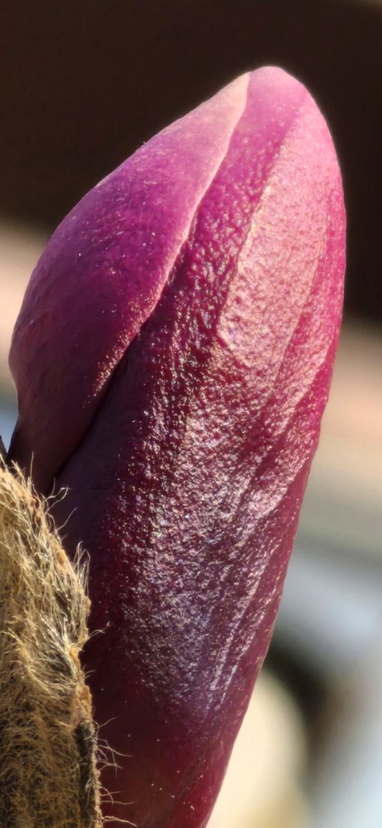 Ice Universe tweet media