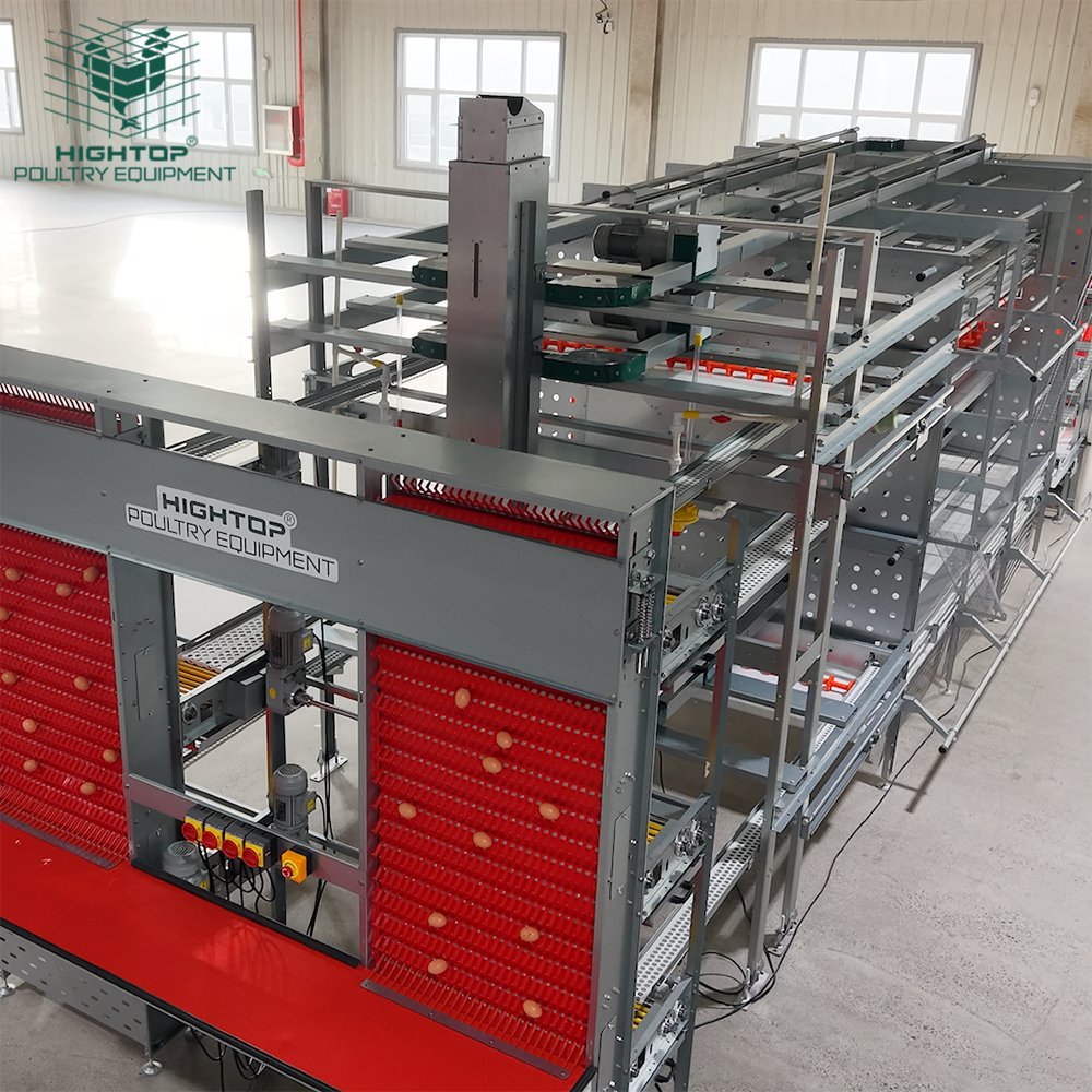 HightopPoultry's tweet photo. Auto welfare cages meet EU standards 🇪🇺🐔 give hens space, reduce stress ❤️ and support clean, efficient egg production 🥚📈 https://t.co/kqNwd3kcik