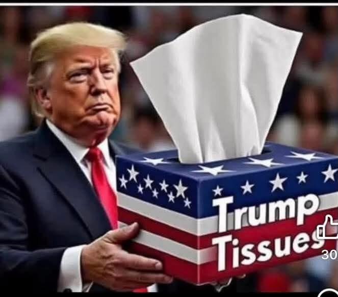 Liz 🇦🇺🇦🇺 tweet media