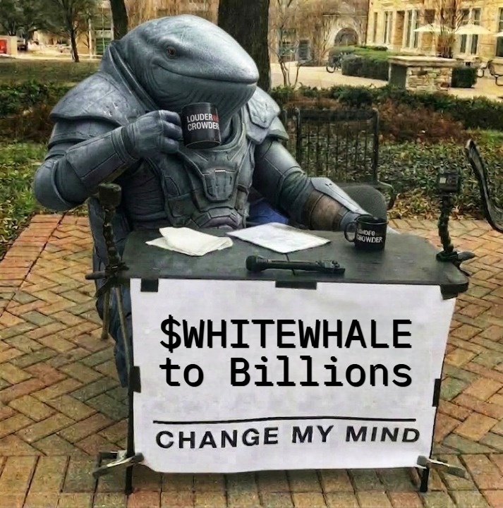 MonggiBear 🧸 tweet media