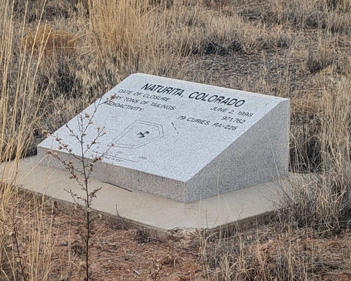 Tyler Is tweet media