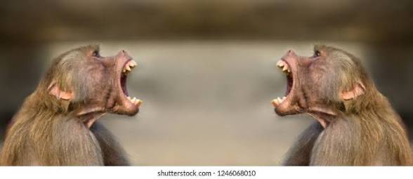 lone!✯ tweet media