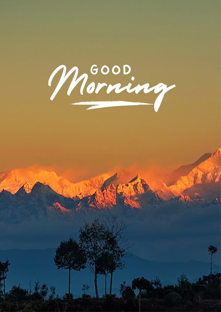 Pramod Meena tweet media