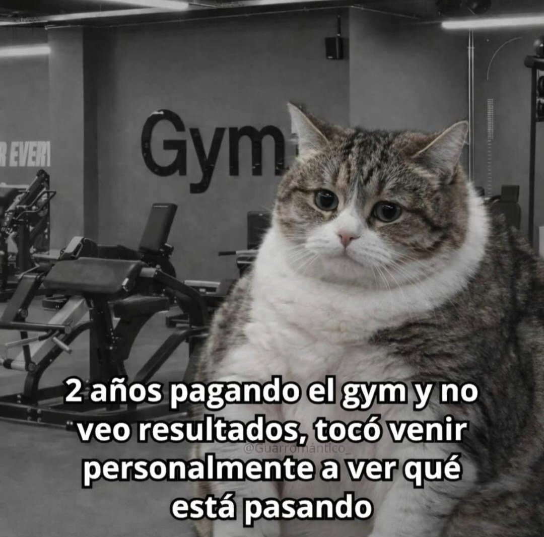 Alex Rodríguez C tweet media