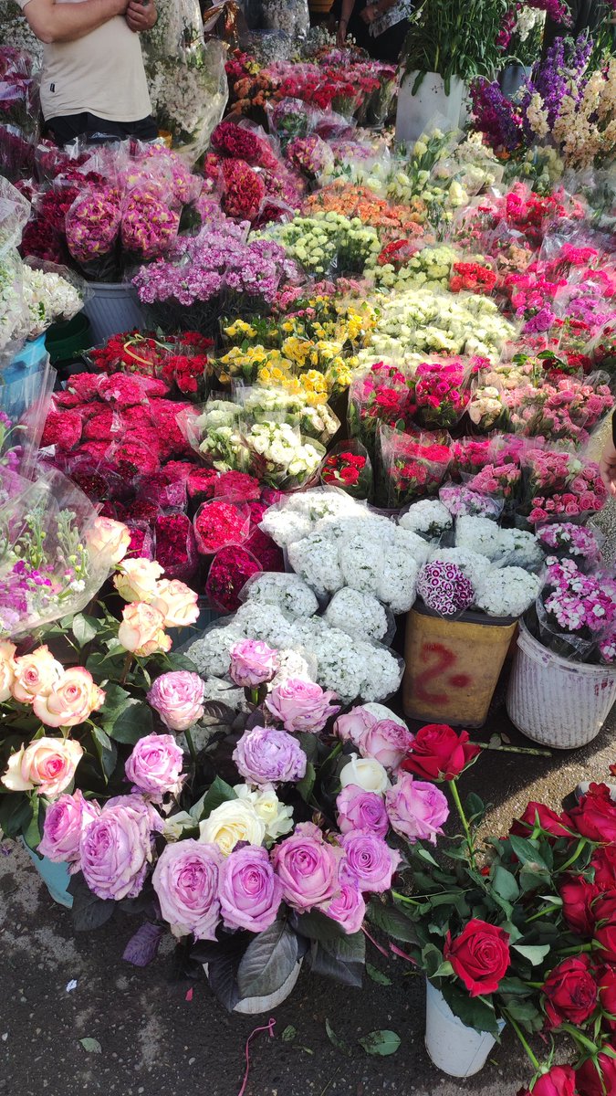 __Poyan_ tweet media