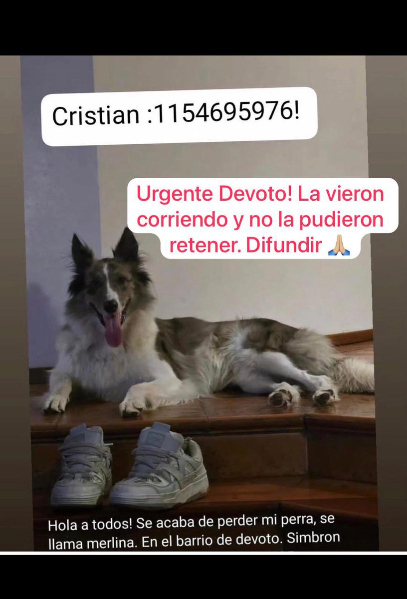 laura santa cruz tweet media