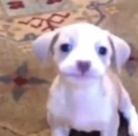 ৩ daniel ৩ tweet media