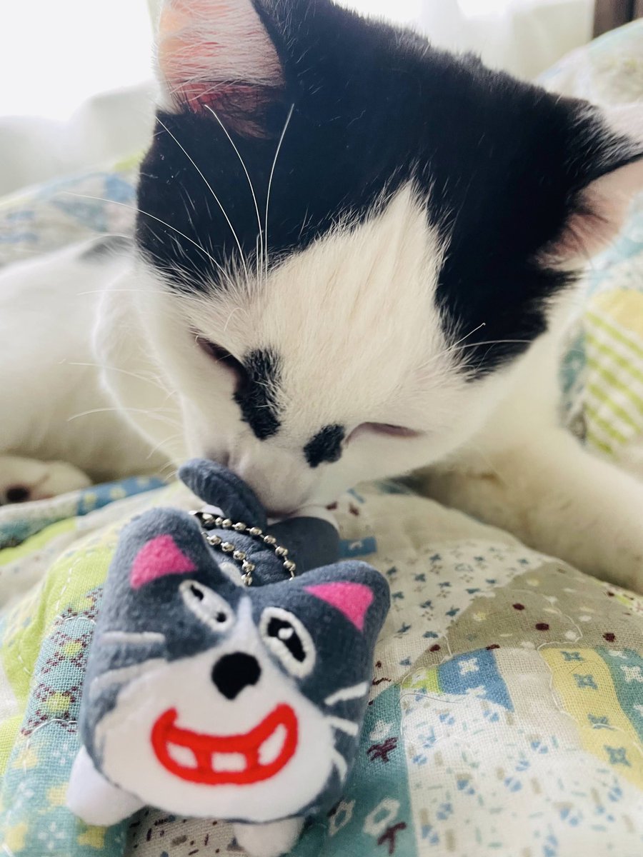 みみた🌞 tweet media