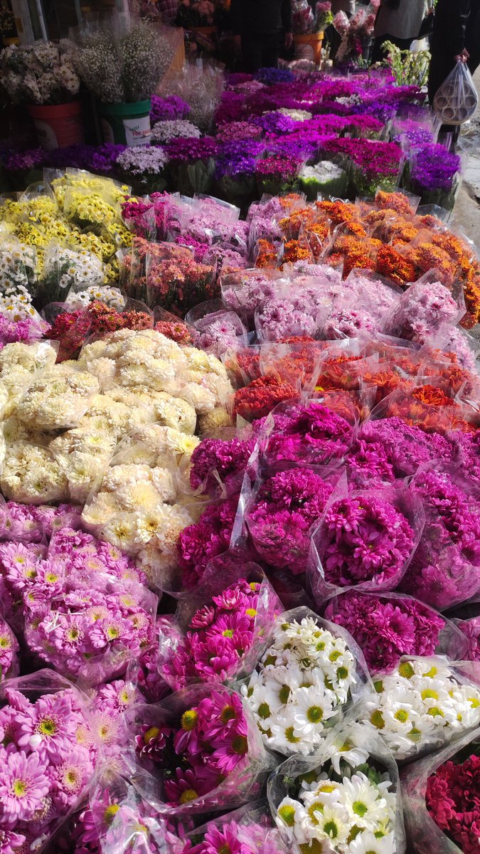 __Poyan_ tweet media