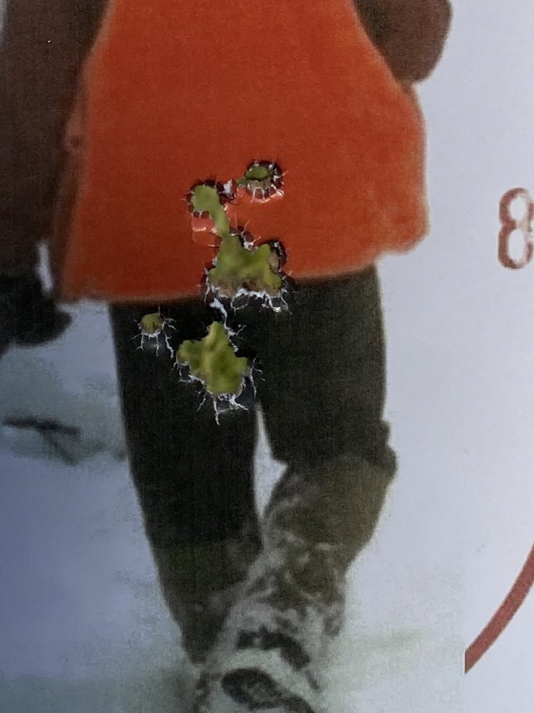 Woeful Bill, Not Bitter Pinewood Derby Loser,WebMD tweet media