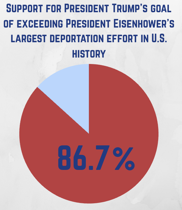 Mass Deportation Coalition tweet media