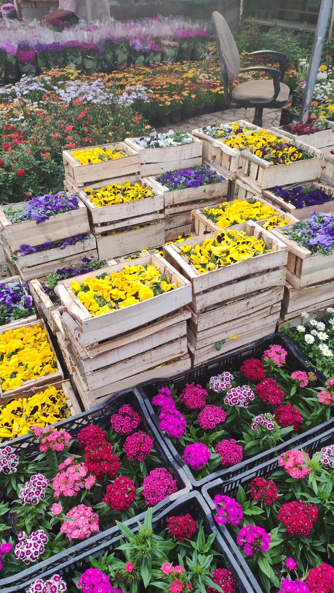 __Poyan_ tweet media