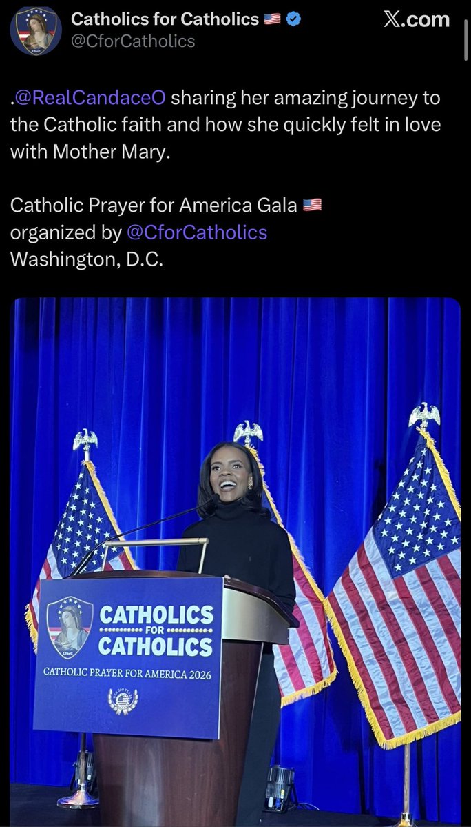 AnMLGCat tweet media