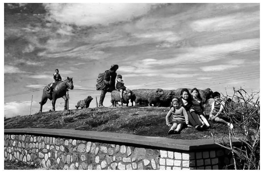 Nelson Aguila Serpa tweet media