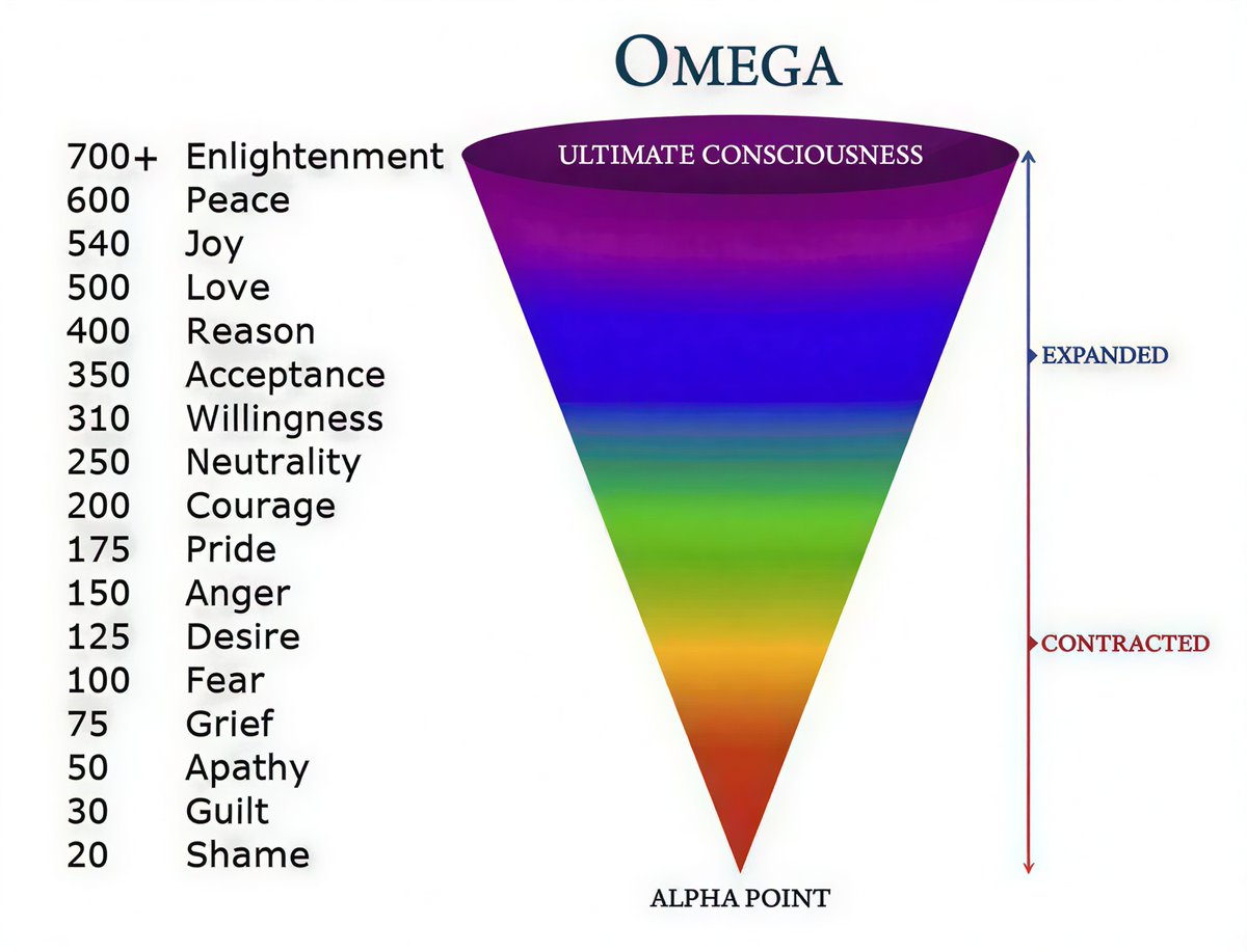 rayane 𓃮 tweet media
