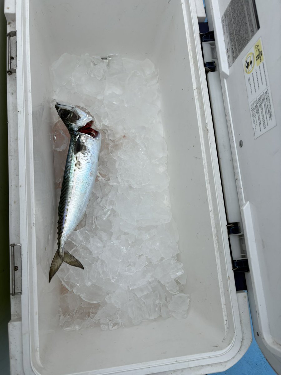 たけすぃの休日 tweet media