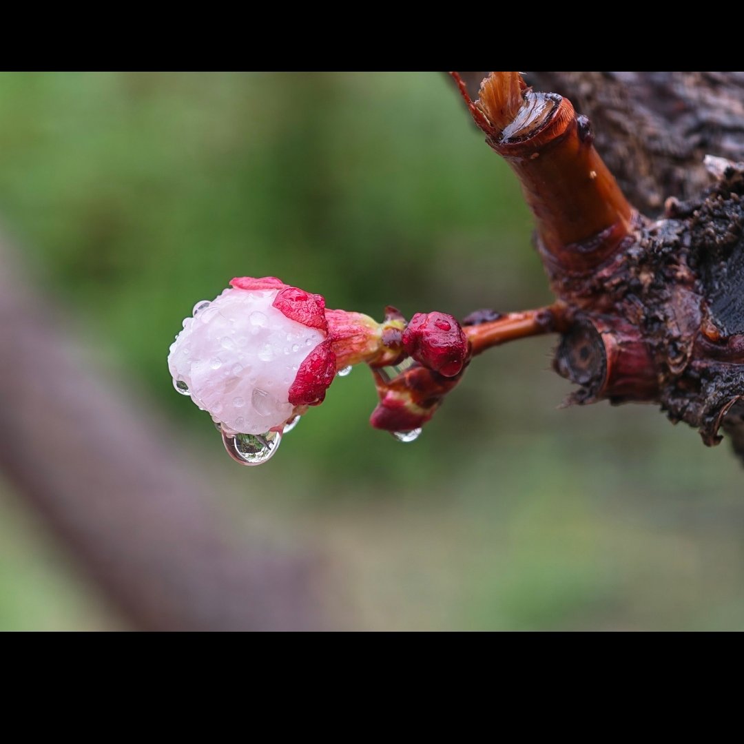 Glad tidings from a heart tweet media